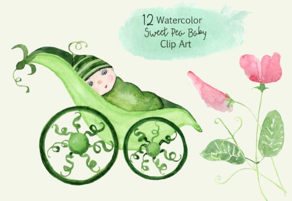 12 Watercolor Sweet Pea Baby Clip Art for Editorial & Web Design Use
