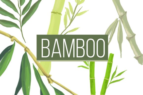 Bamboo Watercolor Drawing Adds Organic Charm to Branding & Marketing Visuals