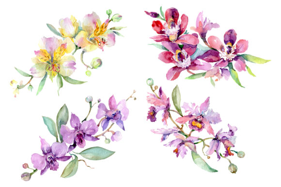 Bouquet with Orchids Angel Gift Watercolor Illustrations