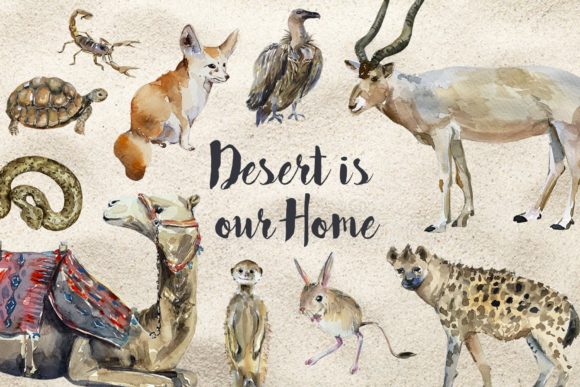 Desert Animals Watercolor Clip Art: A Designer’s Real-World Review