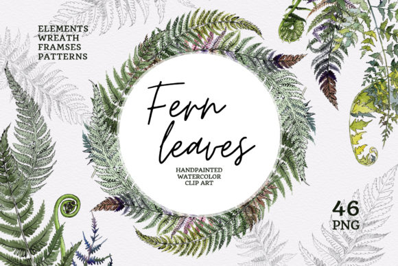 h1Green Fern Leaves Watercolor Illustrations for Digital Sellers/h1