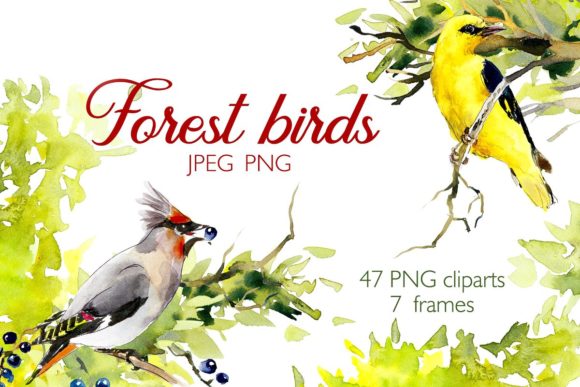 h1Watercolor Forest Bird Frames: A Designer’s Real-World Review/h1