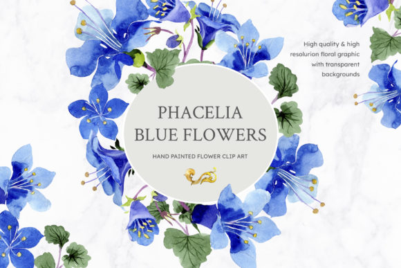 Phacelia & Bellflower Watercolor Clipart Blue: Elegant Illustrations for Content Publishers