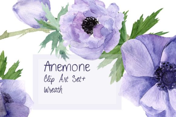 Soft, Artistic Vibes: Reviewing the Purple Anemone Watercolor Clip Art Set for Content Publishing