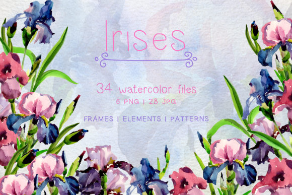 Tender Irises Watercolor Set: A Fresh Editorial Illustration for Bloggers