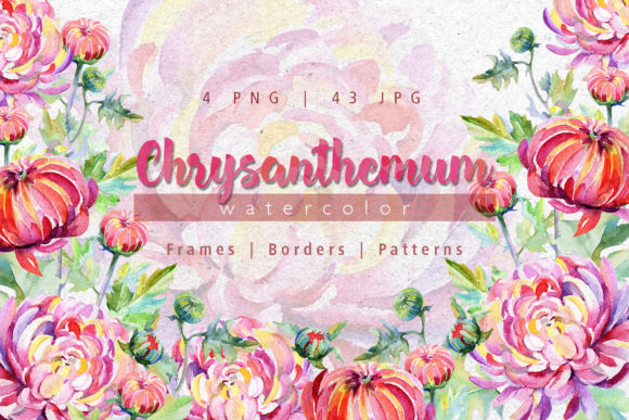 Tender Pink Chrysanthemum Watercolor Set: A Delicate Touch for Local Branding and Packaging