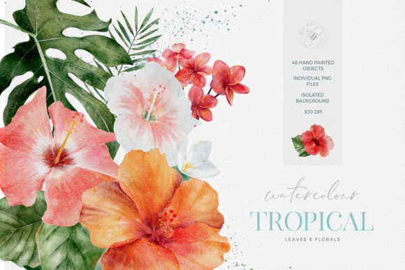 Tropical Flowers Leaves Watercolor Illustrations