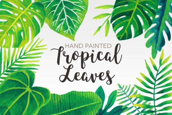 Tropical Leaves Watercolor Clip Art for Blog & Editorial Design