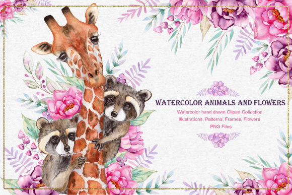 Watercolor Animals and Flowers Illustrations