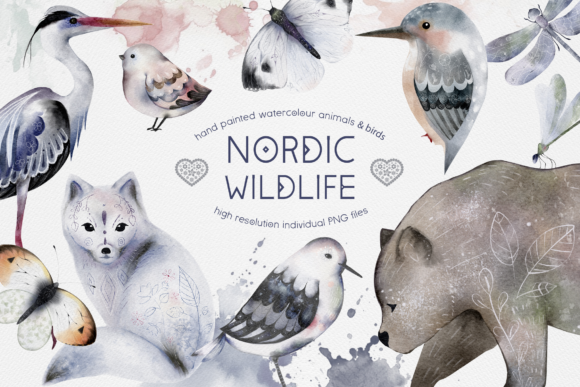 Watercolor Animals Birds Butterflies Illustrations: A Designer’s Review for Local Branding & Packaging