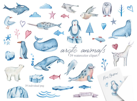 Watercolor Arctic Animals: Illustrations That Bring Winter Whimsy to Branding