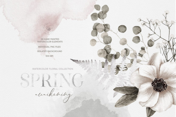 Watercolor Flowers Bouquet Roses Illustrations