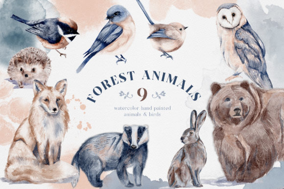 Watercolor Forest Animals Birds Owl Review