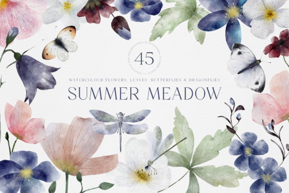 Watercolor Hand Painted Flowers Leaves Illustrations