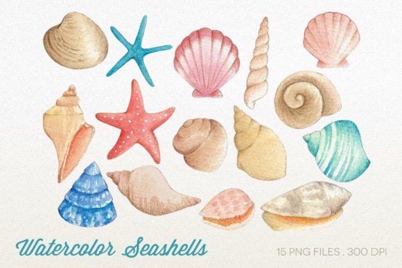 Watercolor Seashells Clipart: A Designer’s Real-World Review for Branding and Creative Projects