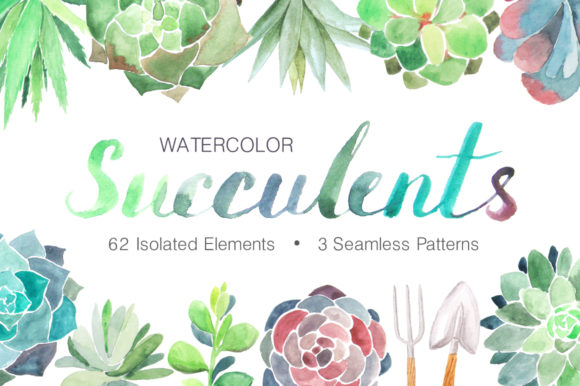 Watercolor Succulents Collection: Illustrations That Elevate Branding and Marketing Visuals